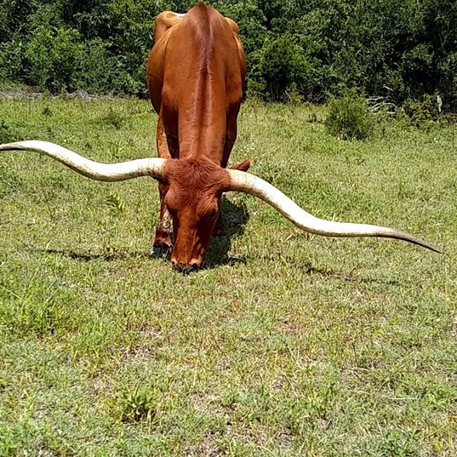 Dry Reserve tweet media