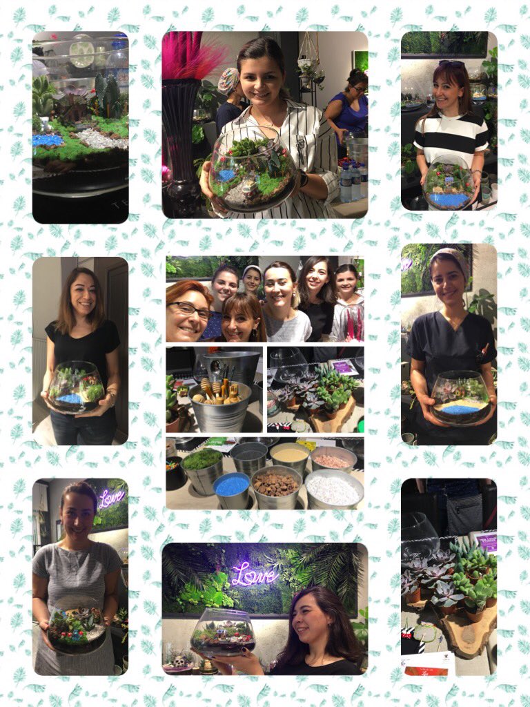 EMATwellness's tweet photo. #A day in Terrarium workshop 🌾🌱🌳🌿🏠🚙 marmara bölgesi #tatdsaglikliyasam etkinlikleri devam ediyor ... 👏🏻👏🏻@TATDSY @terrariumlove5 #terraryum #sukulent @FsmAcil https://t.co/XoIMPNWqE9