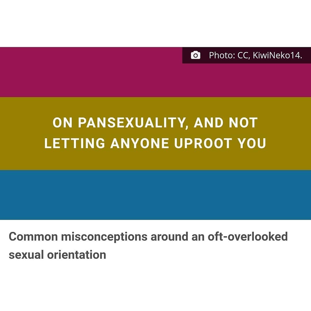 The Fulcrum tweet media