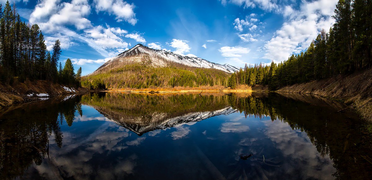 shimonfly's tweet photo. 11 Trails In Montana That Are Worth The Hike https://t.co/VsCb5h5CuY 👣⛰️

#hike #hiker #hiking #hikingadventures #hikinglife #hikingtrails #outdoor #outside #trail #summer #USA #trip #Travel #trek #trekking #glacier #river #Montana #mountains #forest #lake #REFLECTION #Views https://t.co/cepnuMDud0