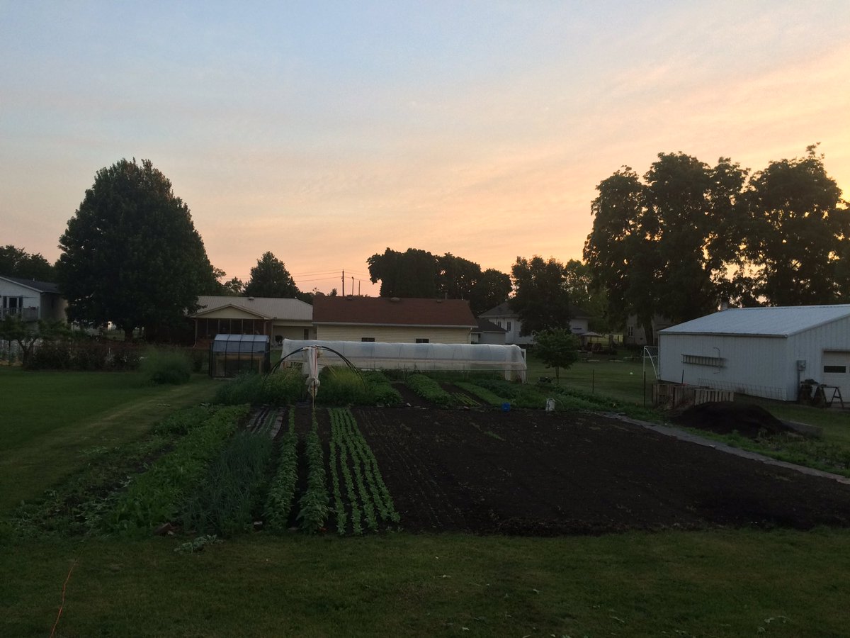 neverdungrowing's tweet photo. One of our favorite views here at Never Dun! #earlymornings #neverdungrowingco https://t.co/BRu1KFxipx