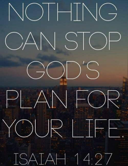 meme_mignon's tweet image. 