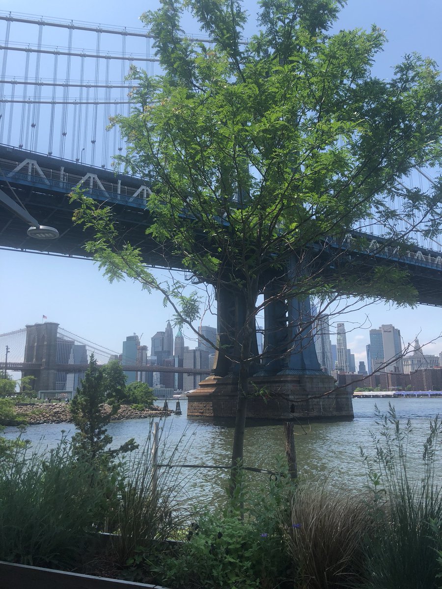 SJ_Murray's tweet image. Thanks to @justinenagan @POVdocs for the great chat on independent #film today. Stories can change the world, and #POVdocs are well worth the watch — and your support! ❤️