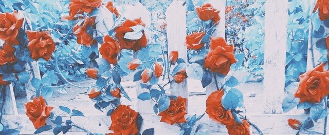 puellaesthetics's tweet photo. ✧° Heejin Loona Aesthetic Pack °✧
➻ rt or fav if u save / use ❣
#heejin #loona #heejinaesthetic #heejinpack #loonapack #loonaaesthetic https://t.co/A8sfPQfoZg
