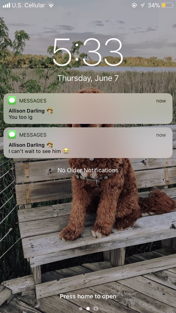 madelinezwiers's tweet photo. when your friends are more excited to see your dog than you 😒 #understandabletho https://t.co/dAnDip1v2W