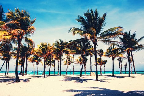 BarceloMayaGR's tweet image. We are in México! 😎
✅ Amazing food 
✅ Amazing weather
✅ Wonderful beach
✅ Great service
#BarceloExperience