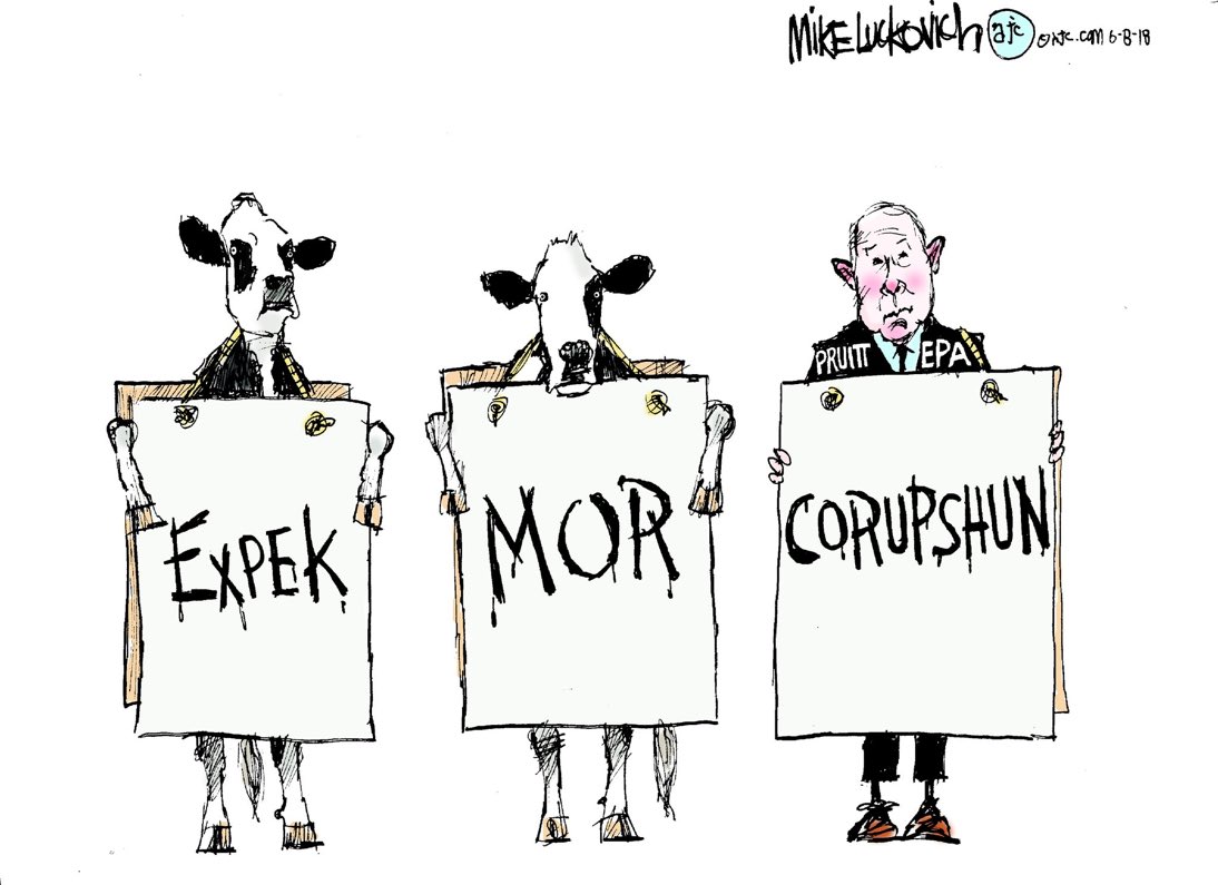 DfH3HbFX4AEed2c?format=jpg&name=medium