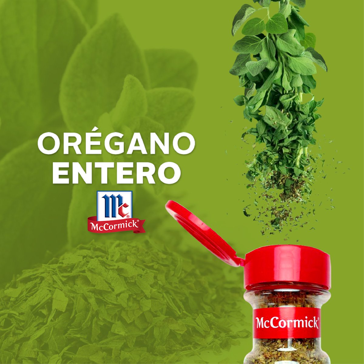 El orégano es un excelente ingrediente para acompañar salsas italianas a base de tomate. Los griegos lo utilizan en preparaciones de pollo, cordero, ensaladas, legumbres y mariscos por su ligero y refrescante toque a menta y pimienta.
