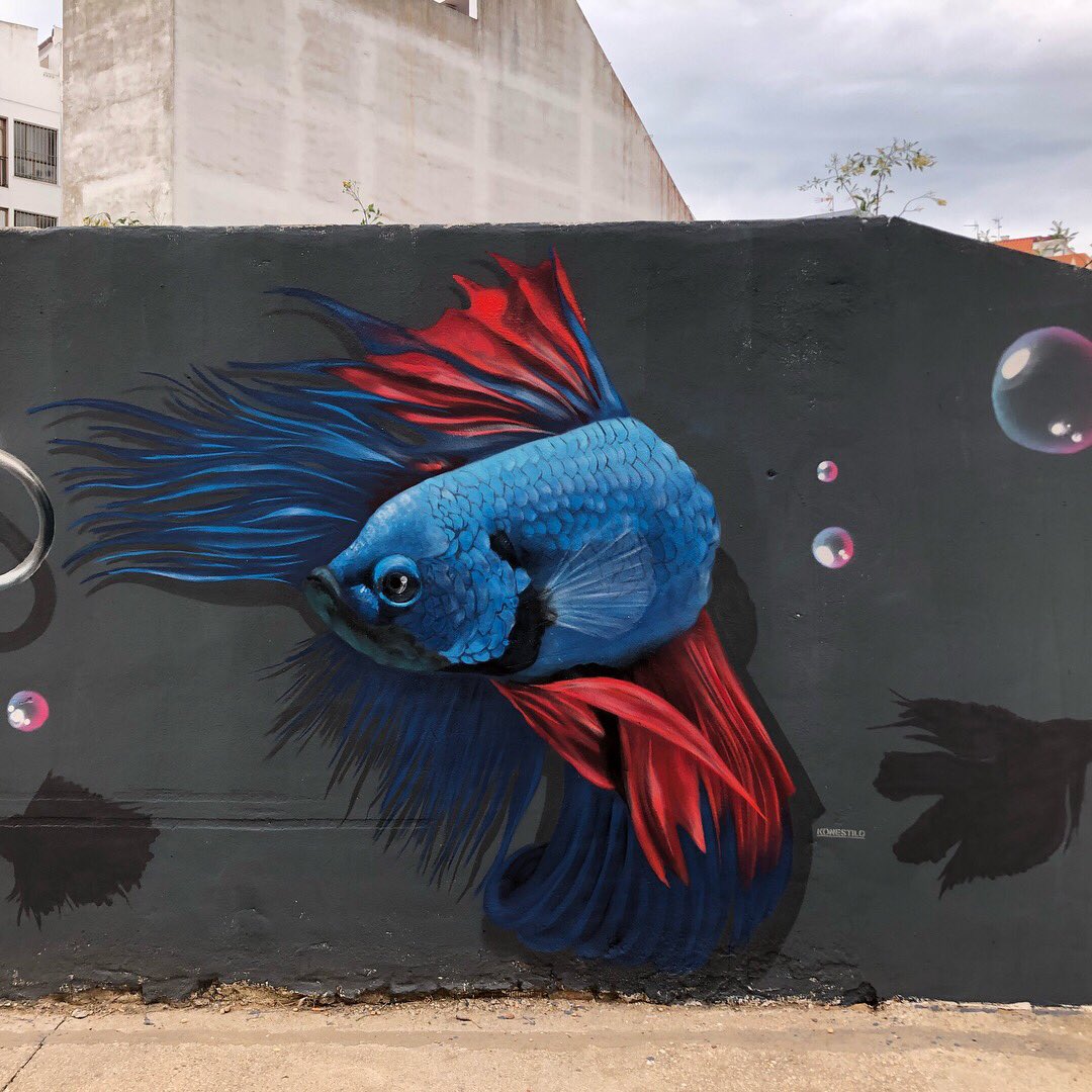 Konestiloart's tweet photo. Enfrentamiento inusual @Konestiloart #konestilo #konestiloart #onlyspraypaint #graffiti #konestilograffiti #betta #pezbetta #pezluchador #lucha #pez #fish #anzuelo #rojo #azul #rojoyazul #escamas #peces #huelva #huelvagram #nbq #nbqpro #nbqcompany #graffitihuelva #picoftheday https://t.co/nVsOOyNGER