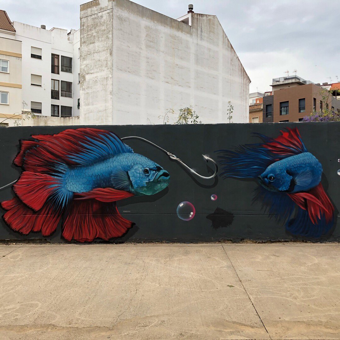 Konestiloart's tweet photo. Enfrentamiento inusual @Konestiloart #konestilo #konestiloart #onlyspraypaint #graffiti #konestilograffiti #betta #pezbetta #pezluchador #lucha #pez #fish #anzuelo #rojo #azul #rojoyazul #escamas #peces #huelva #huelvagram #nbq #nbqpro #nbqcompany #graffitihuelva #picoftheday https://t.co/nVsOOyNGER