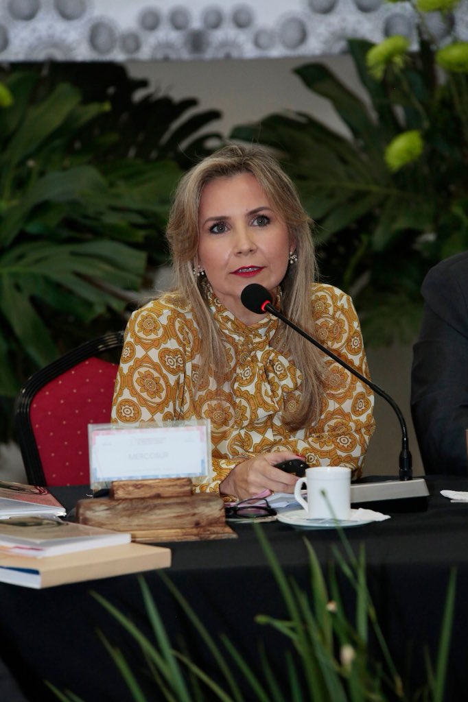 lilizayasgu's tweet photo. ##REMPM Día 2. Reuniones preparatorias. Agenda #ViolenciadeGénero @fiscalia_prensa @efavole @dolbre @ForroBibol 🇵🇾🇦🇷 🇧🇷 🇺🇾 🇨🇱 🇪🇨 y Peru https://t.co/mMWFWpOinM