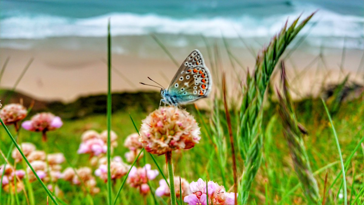 Chris Garner tweet media