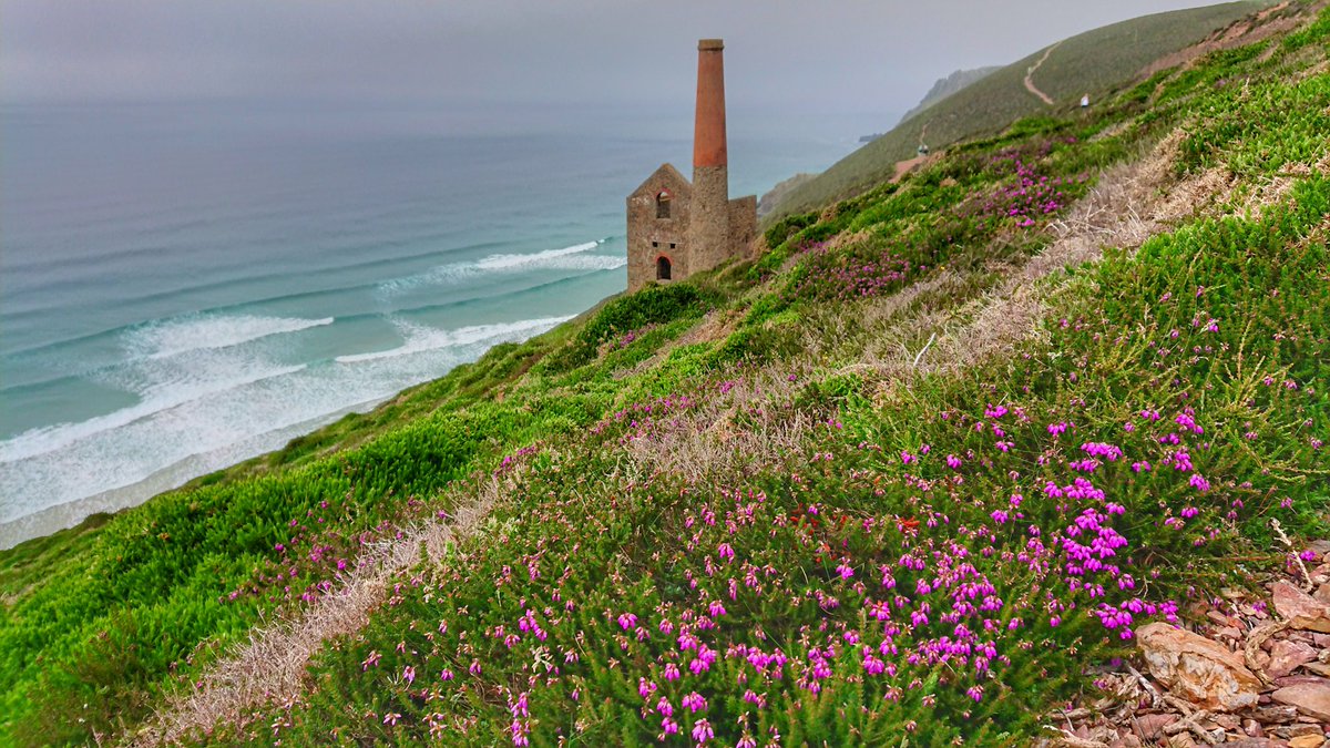 Chris Garner tweet media