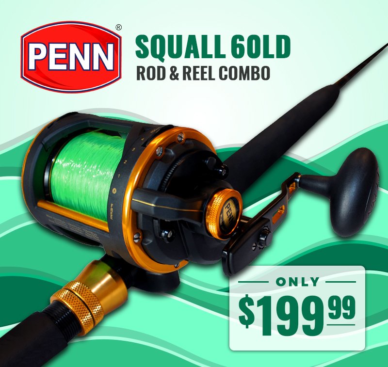 penn squall rod and reel combo