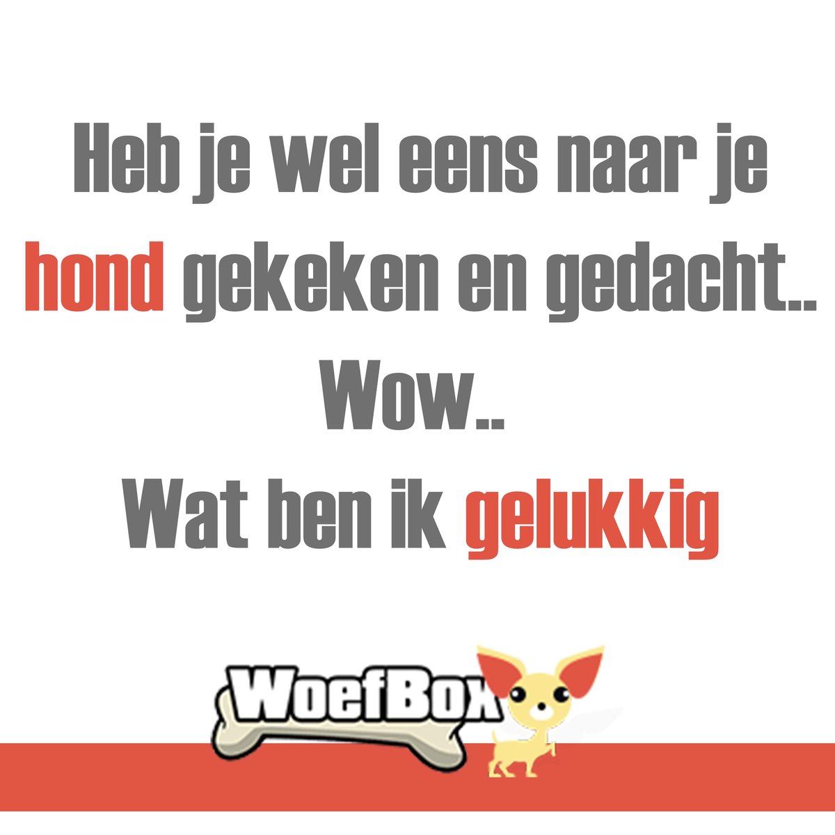 ❤️ #hond #gelukkig #woefbox