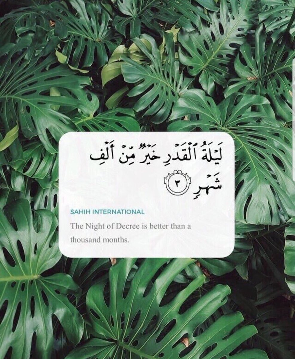 LXDZQ's tweet photo. #مشعل_الشميسي
#عبدالعزيز_الشميسي
#أمل_الشميسي
#نوره_العساكر https://t.co/As1sGFonj2