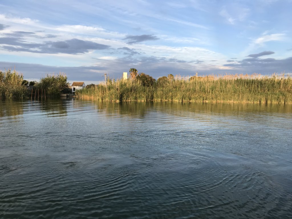 Hermoso paseo por la Albufera. Actividad social y cultural organizada al interno de las XVI Jornadas CRAI