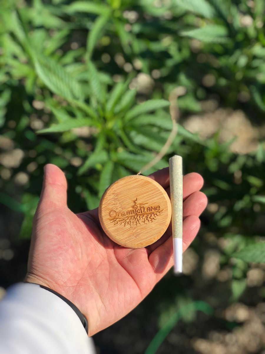 Organic_Flame's tweet photo. An all natural way to light up your cigar π±π₯
#OrganicFlame #hempwick #cigar #joint #norcal https://t.co/SwbRXKzSUG