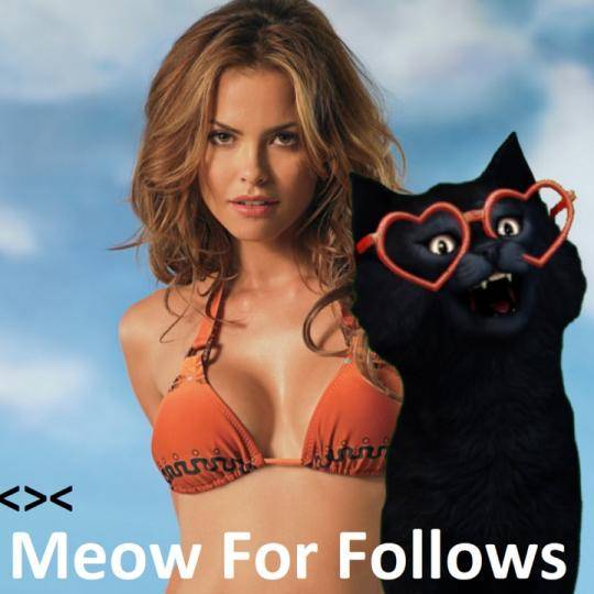 Gumpy_3000's tweet image. 🙌 YASSS It&apos;s time for a great show ˃ᆺ˂ LITTY KITTY:Meow for Follows .
liveme.com/share/index_li…