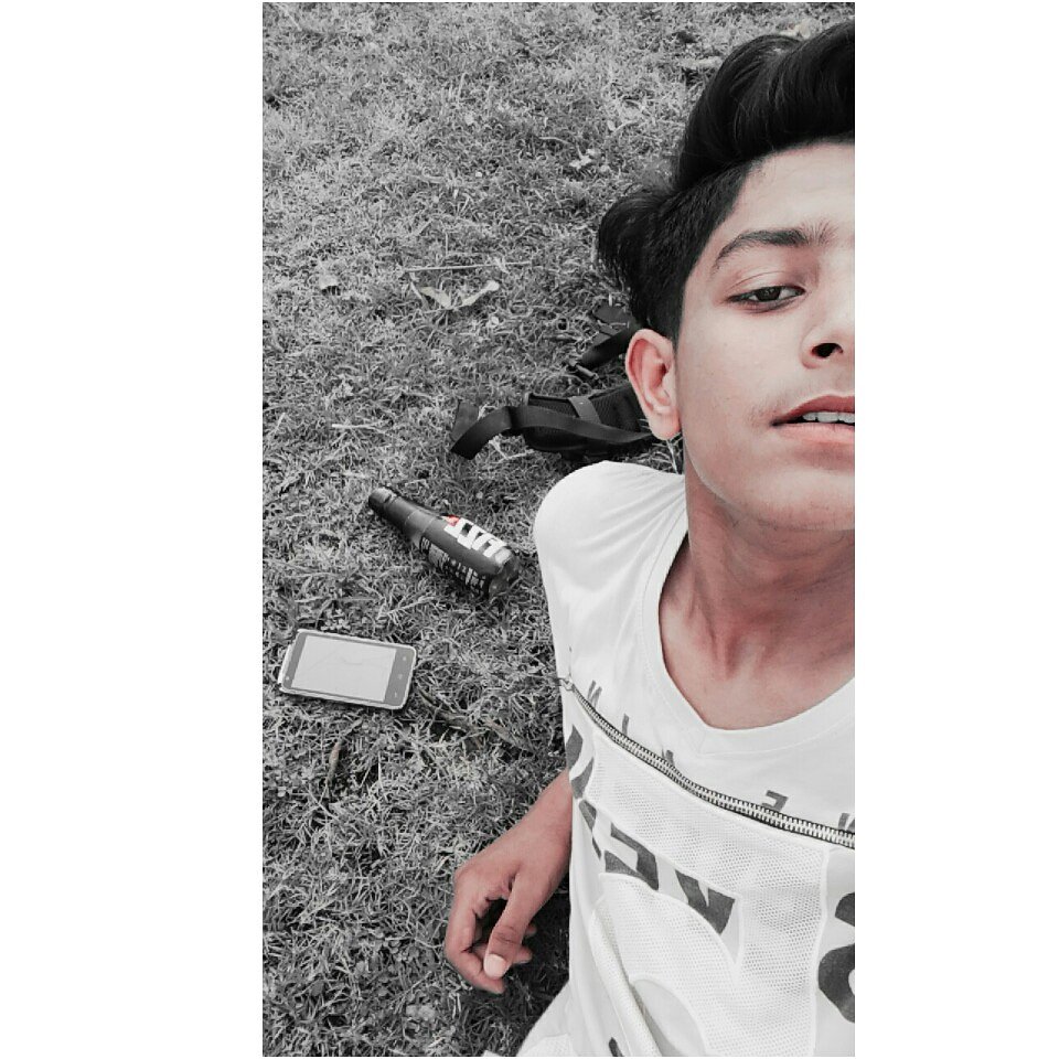 QadriShaad's tweet photo. #CUTENESS #GoogleDonutshop #images_editing https://t.co/NMdsKgQmDP