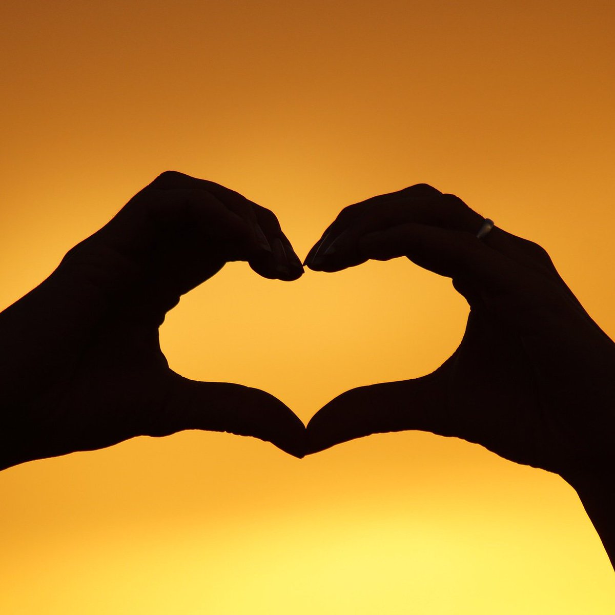 LJ_foundation's tweet photo. Love becomes STRONGER when it’s shared. Share your love to orphans and widows, and their gratitude will make you want to give love share more!
#LilyJavaFoundation #orphan #widow #support #donate #give #protect #hope #strong #love #share #gratitude https://t.co/frXcEZSTDl