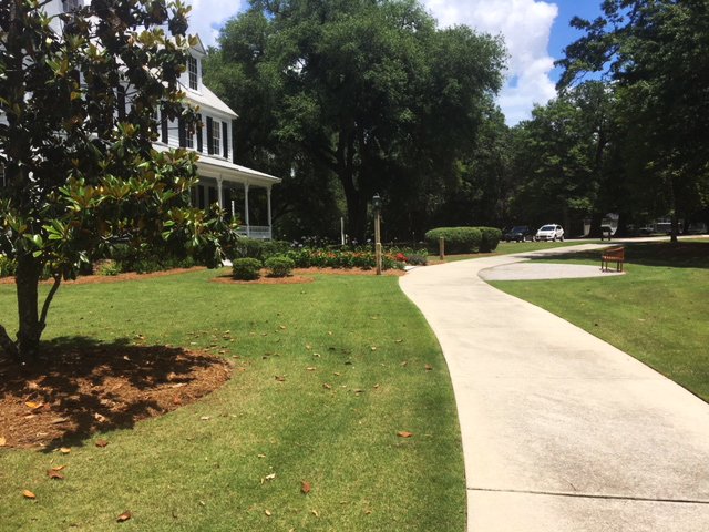 BaytreeLand's tweet photo. Isn't this bermuda turf at The Ponds community in Summerville, SC for Kolter Homes looking real good! We have an excellent, detailed turf management program. Great job team
#baytreelandscape #turfmanagement #PartnerWithUs #PicturePerfectProperties https://t.co/zaNNhC1KeZ