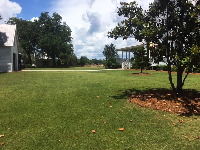 BaytreeLand's tweet photo. Isn't this bermuda turf at The Ponds community in Summerville, SC for Kolter Homes looking real good! We have an excellent, detailed turf management program. Great job team
#baytreelandscape #turfmanagement #PartnerWithUs #PicturePerfectProperties https://t.co/zaNNhC1KeZ