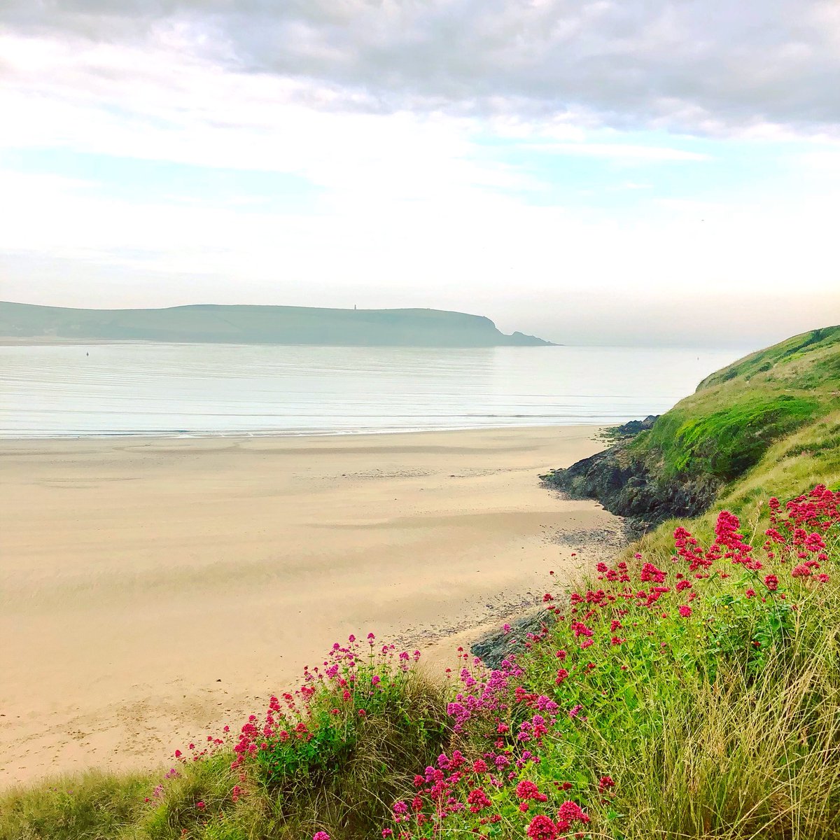sweat_it_dunn's tweet photo. 5:30am alarm to get in an hour run before heading up to the Royal Cornwall Show. Such a pretty morning out along the coast! #run #runner #runningcommunity #cornwall #coast #trailrunning #whereirun https://t.co/pqY7kvi2vb
