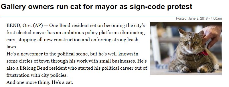 ISAPrez's tweet image. You have to be KITTEN me-this is the MEWMENT you've been waiting for. Do you have the CATitude to get your sign code PURRRRFECT? PAWlease PURRsuade me to vote for this MEOW-nificent cat as mayor!  tinyurl.com/ydflgadr #BendOregon #signcode