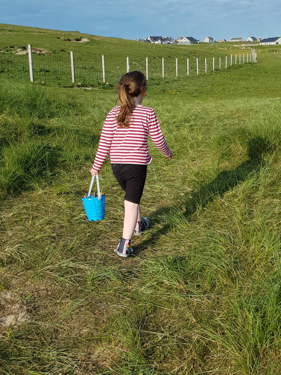 honeybeeherbals's tweet photo. Iona after her #5minbeachclean on #Eoropie tonight We needed a bigger bucket so much still there
Take care at the top of the stones as you enter from the Machair wear shoes lots of broken glass big and small very sharp mind your dog's paws too. https://t.co/UR6bLbScPh
