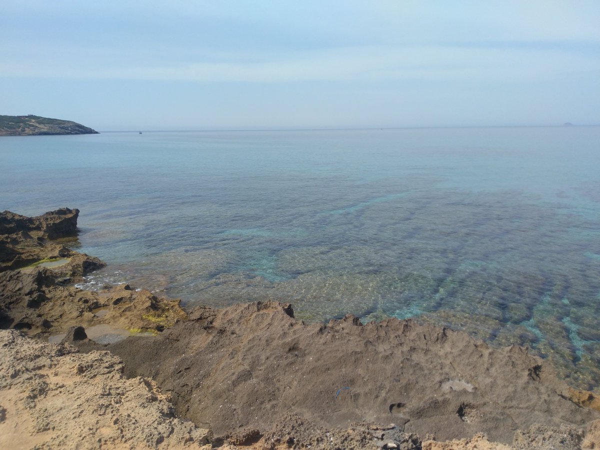 ApeMaga74's tweet photo. #Sardegna https://t.co/uLVozpj6TA