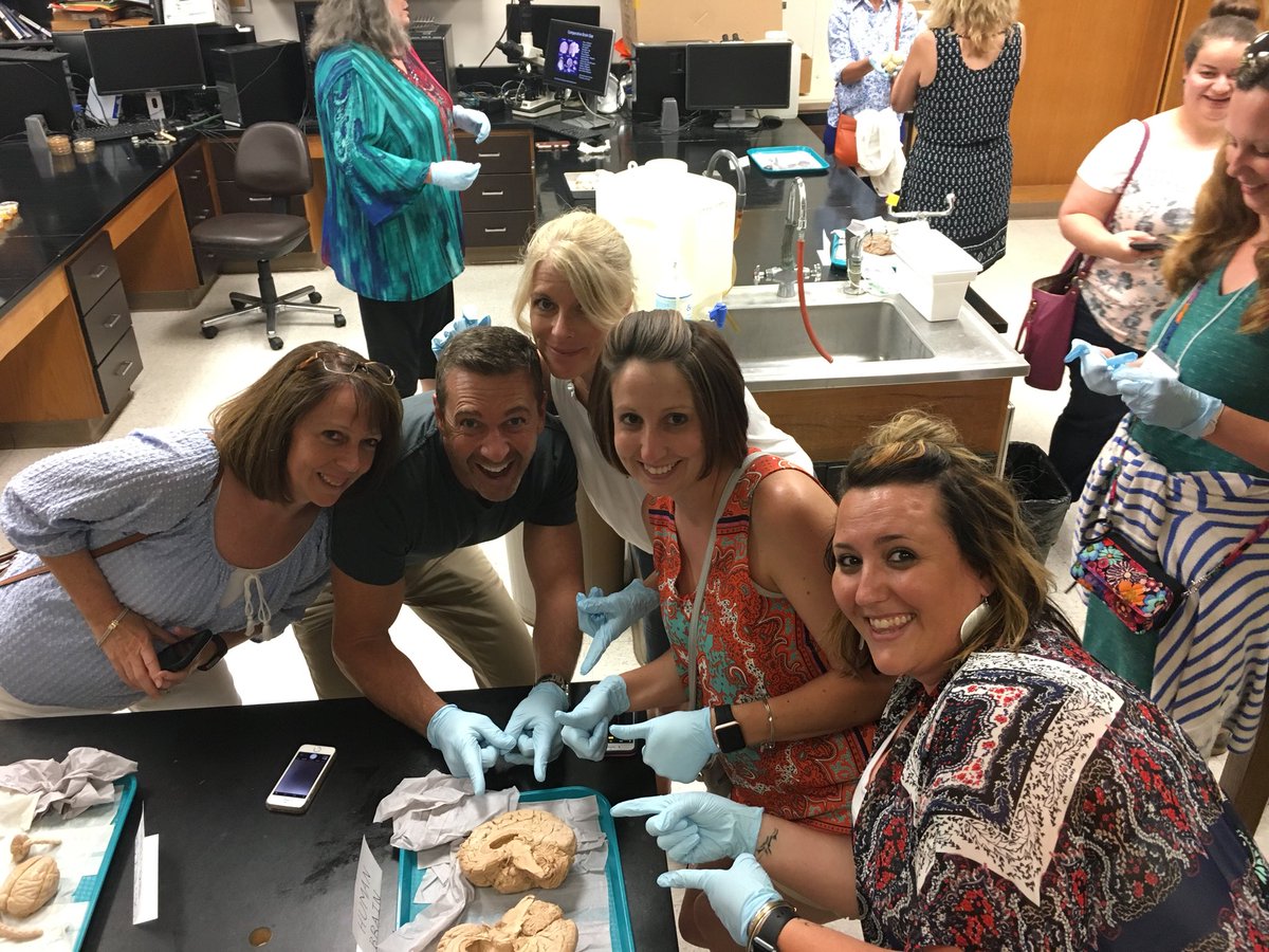 MHSHornetAP's tweet photo. Learning about and playing with Brains!  #lifelonglearning #brainmattermatters @EricJensenBrain @WCHCS @WCHSuper https://t.co/UOljKUXsti