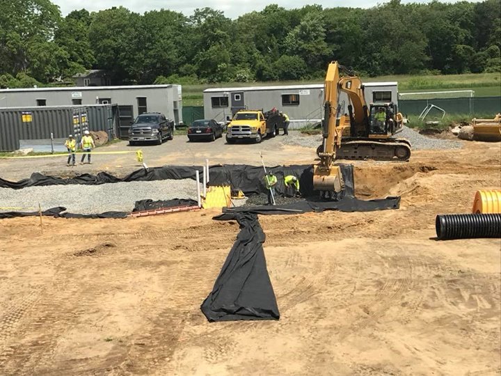 There’s a lot happening out back today.