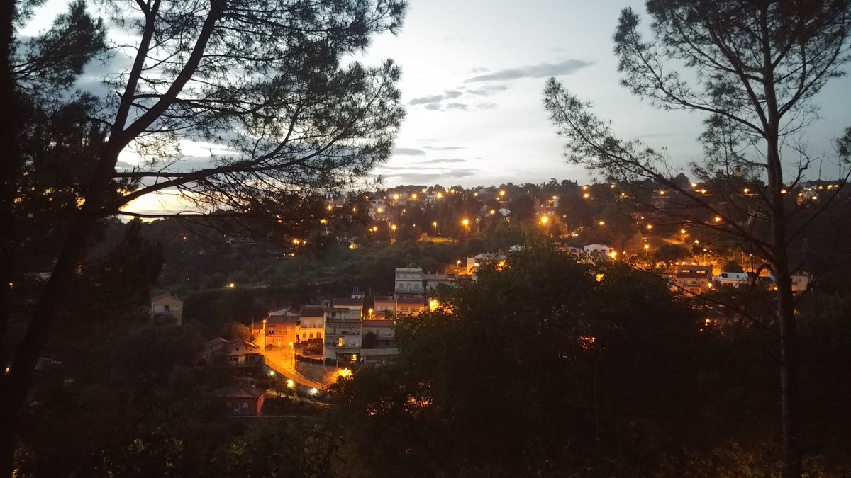 fran_raga's tweet image. #siglibre2018