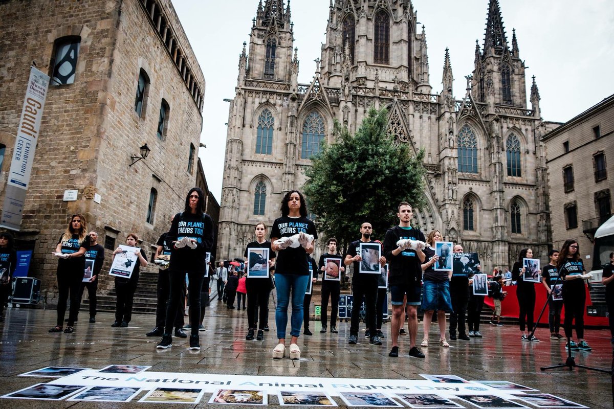 OPTT_NARD's tweet photo. #nard2018 in #Barcelona #Spain #AnimalRights #AnimalLovers #Unite https://t.co/Pj45TZSs1K