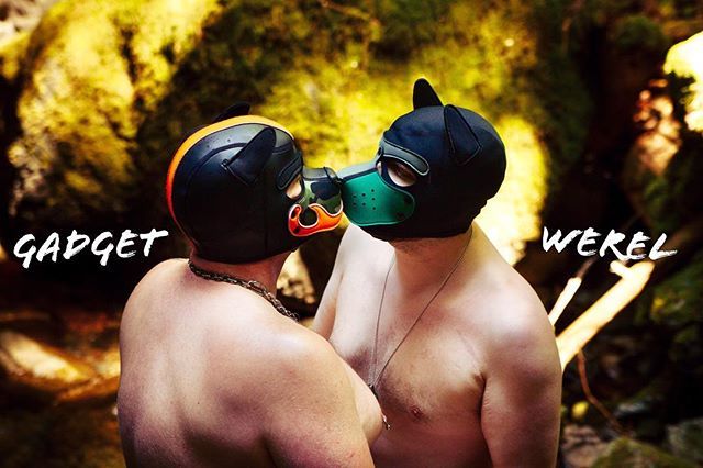 PupGadget's tweet photo. Werel nuzzles and....! ๐๐ถ๐บ๐พ Photo thanks to @pupyukai #me #pup gadget #alphagadget #alphapup #alphapupgadget #vanpah #shadowfallscamp #grotto https://t.co/LenPu6ccYB https://t.co/AOfp0pXVKw