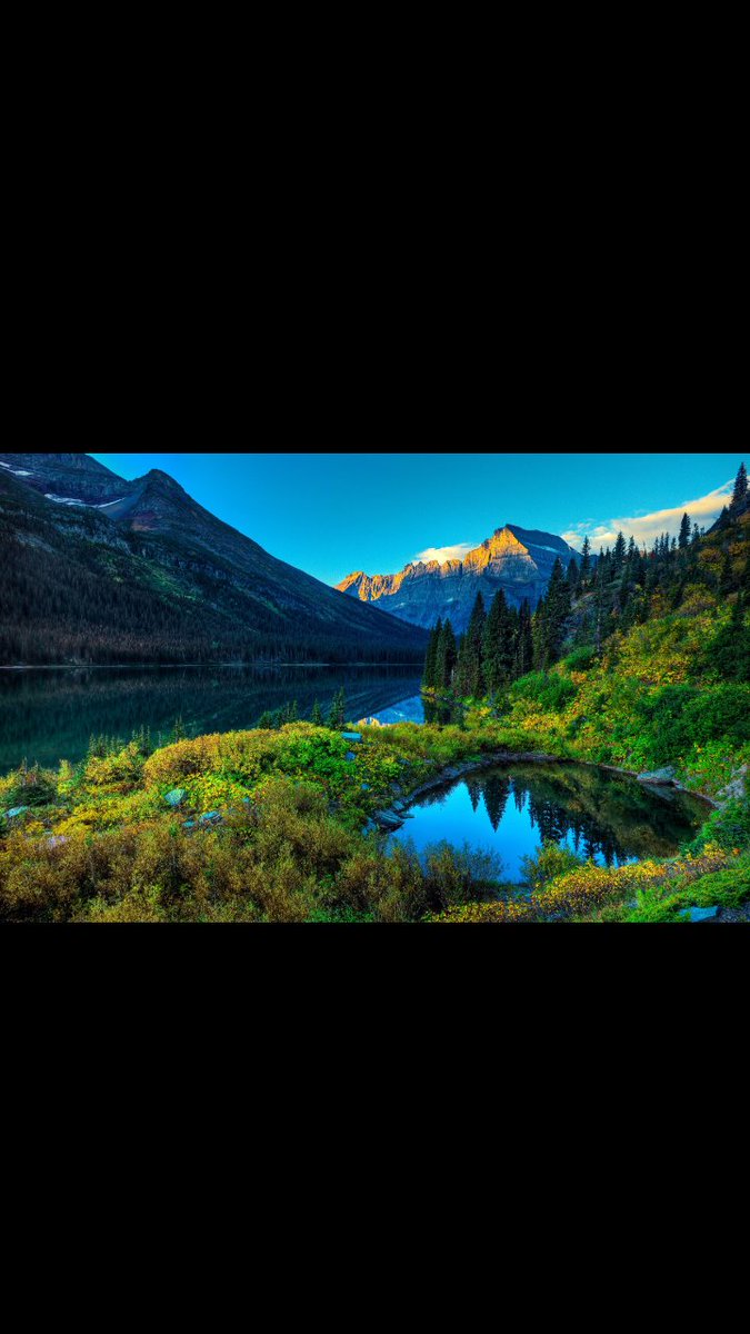 AnzeyiIsaac's tweet photo. #inloved with this beautiful ecosystem https://t.co/eeW6wiog51