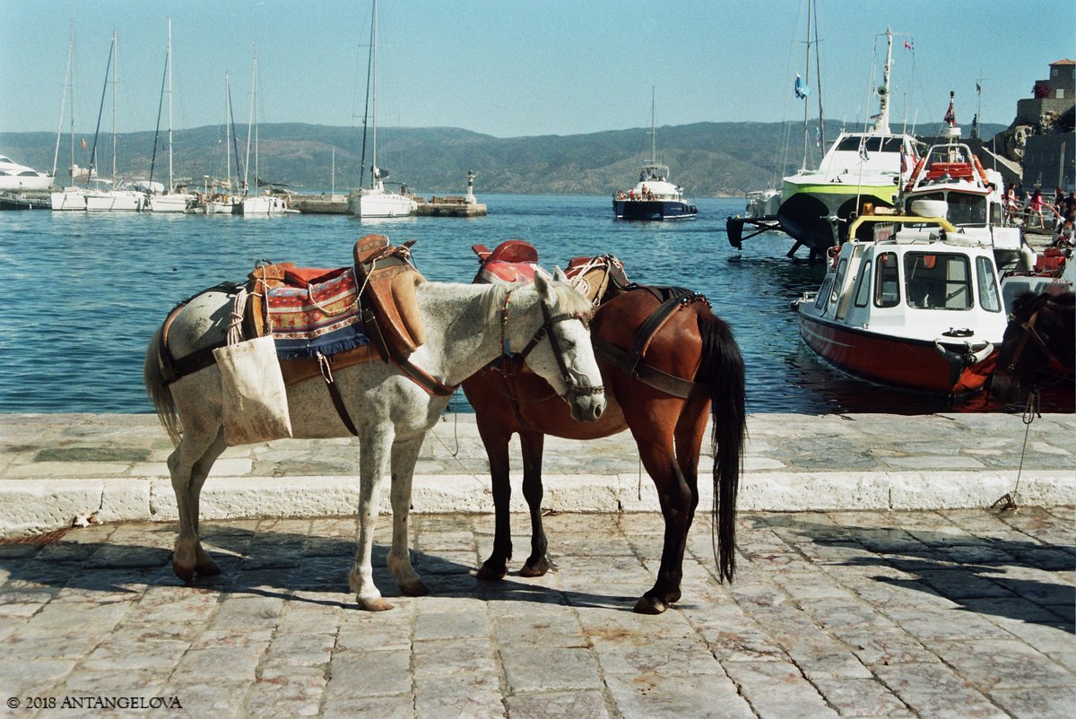 antangelova's tweet photo. check out my pics from Hydra, Greece 📸 all shot on film 📷 #filmisnotdead #greece
https://t.co/mKLLLaHBqF https://t.co/IF2WSTPtpg