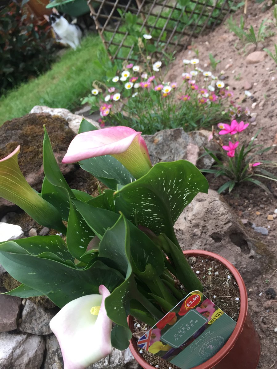 Naomi Folkard tweet media