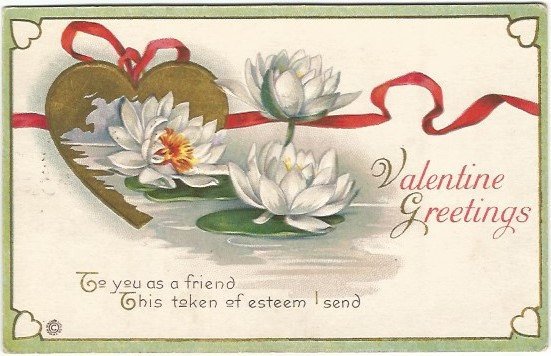 White Water Lilies in Pond with Gold Heart and Red Ribbon Valentine Greetings Vintage Postcard tuppu.net/8ddd25aa #VintagePostcard #Postcards #postcardsintheattic #Etsy #WhiteWaterLilies