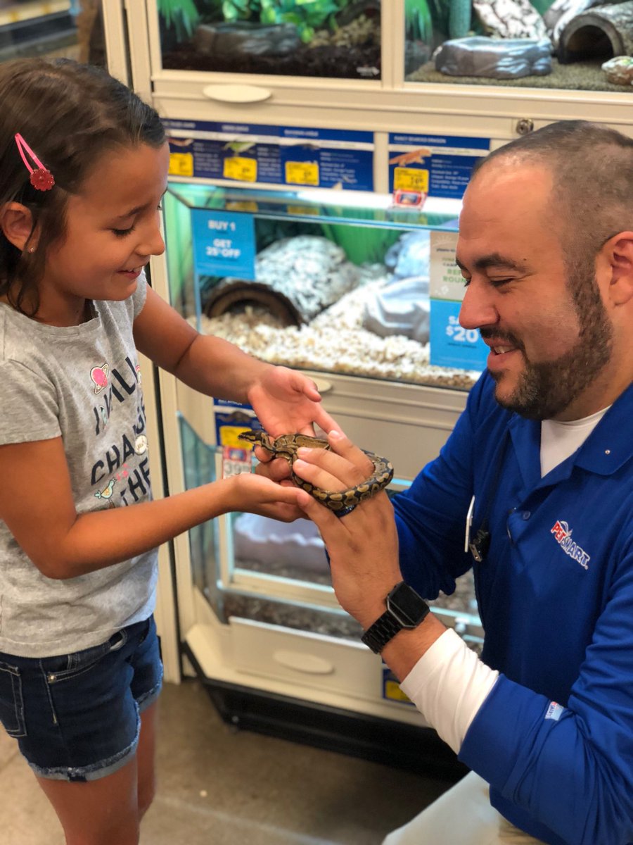 petsmart reptiles