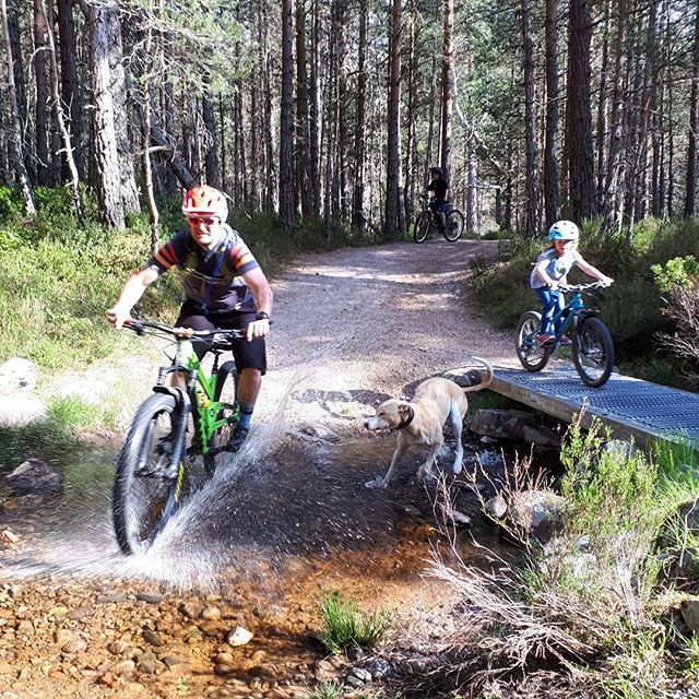 Muddy_Mam's tweet photo. Having fun exploring the trails around Rothiemuchus Estate. Tan chose the sensible route!
#chooseyourline #Rothiemuchus #aviemore #cairngorms #lovemtb #girlswhobike #girlswhoshred #girlswhomtb #roriethedog #lurcher  #familyfun #visitscotland #sunnyscotla… https://t.co/QIv8cWd4JE https://t.co/UtZRFx4nOa