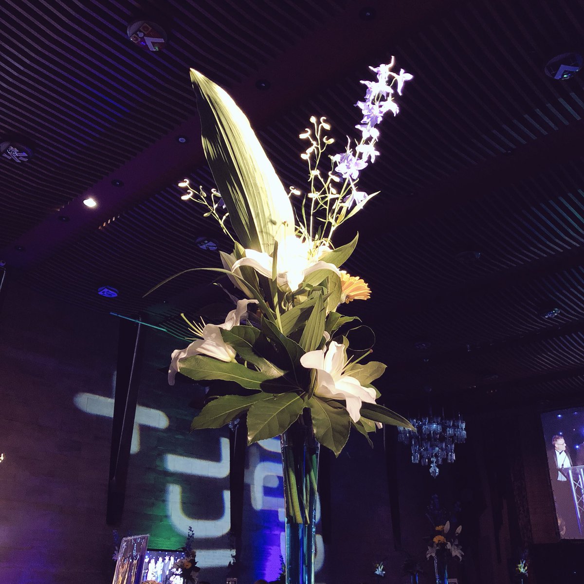NCLStartUp's tweet photo. Many congrats to @LixirTonic runners up &amp; @Burst_app winners of the @FrankRecGroup Award for Outstanding Contribution to #Entrepreneurship as well as @TrendListr &amp; @CalumMackervoy who all deserve a gong for their endeavours as does everyone #startedatNCL &amp; those who support them! https://t.co/c2EoBGxYEv