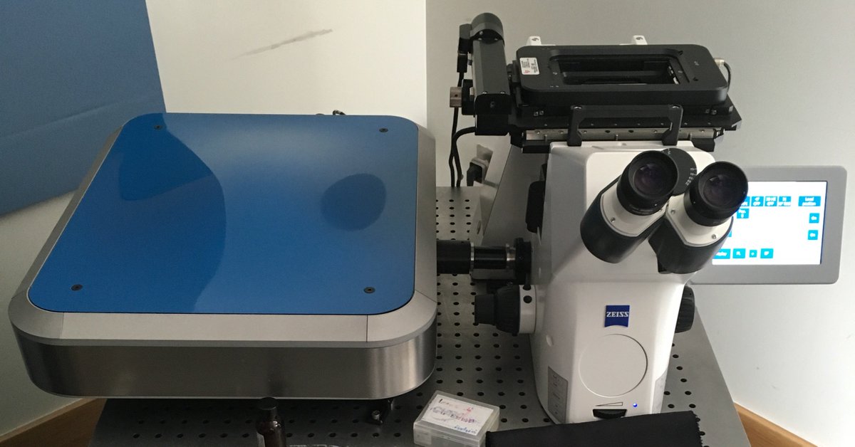 BioAxial tweet media