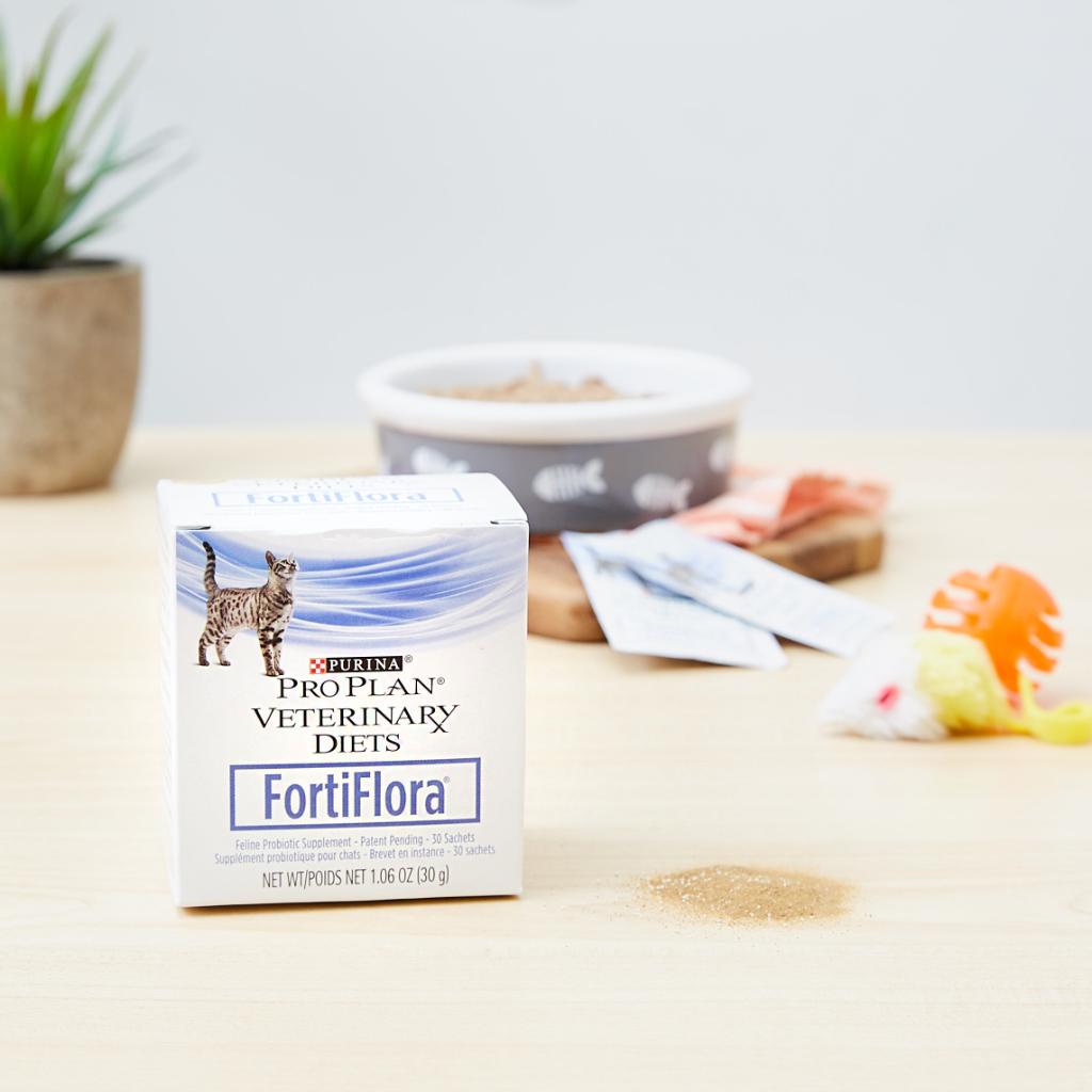 fortiflora for cats chewy