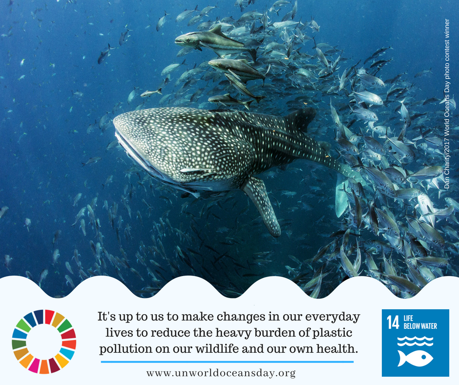 UN's tweet photo. Refuse plastic 🍴 
Use refillable 💧bottles 
Bring your own 🛒 bags

These are just 3 tips on how to #BeatPlasticPollution &amp; #SaveOurOcean on Friday's #WorldOceansDay and every day: https://t.co/jMGqljSoUn https://t.co/SvV5h6kQiE