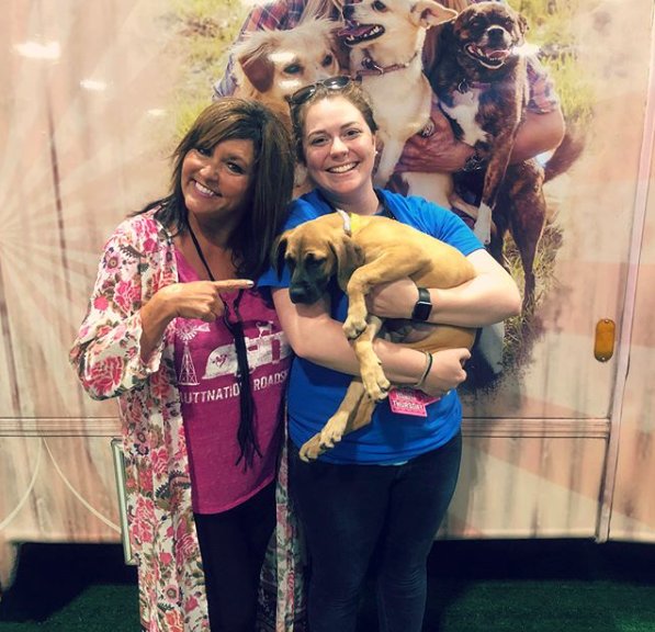 MuttNation's tweet image. #CMAFest is off to a great start! Look at these precious pups that have found wonderful new families 💗 We’ll be here at FanFair X all weekend - stop by from 12-3 to see all of the sweet mutts from @nashvillehumane looking for furever homes! 🐶❤️ #HappyTails #LoveAShelterPet