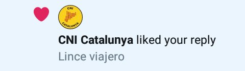 Això ens fa més il•lusió que el dia que ens va blocar el Jordi Ratlles