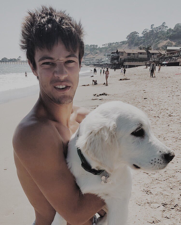 cameron aesthetic (@dallaesthetic) on Twitter photo 
