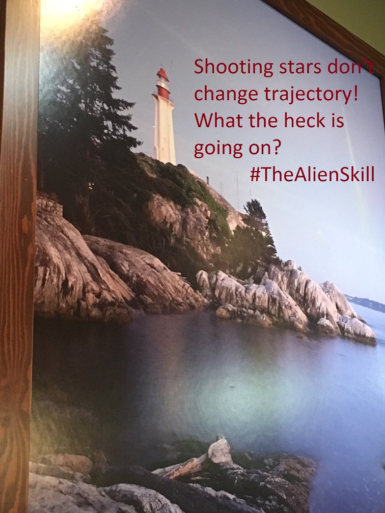 RaeKnightly's tweet image. A picture of a picture of #lighthousepark #westvancouver (#youreadthatright).